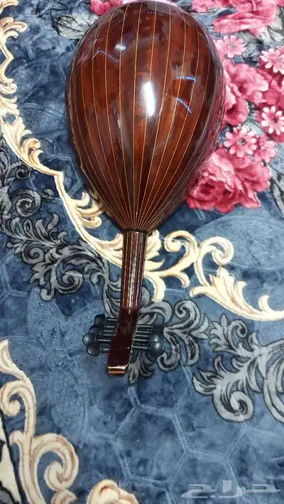 عود زيراب نظيييف جدا للبيع تم تخفيض السعر 5