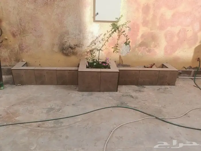 قص الاشجاروالنخيل وترحيل النخيل والاشجار 10