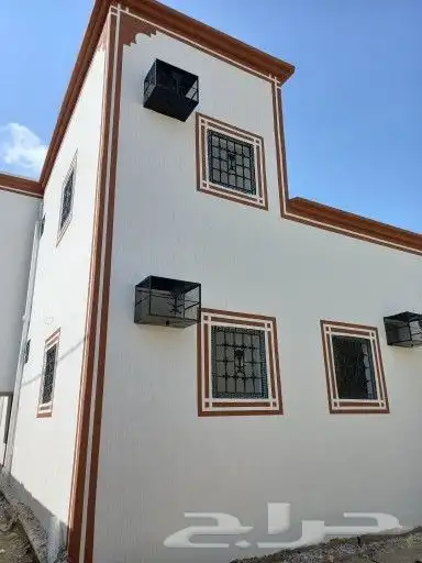 معلم جرافيت مصري وجميع انواع الدهانات الخارجية 11