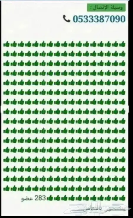 جنوط كرلا سوح مقاس 15 اصلي وكاله جديد 8