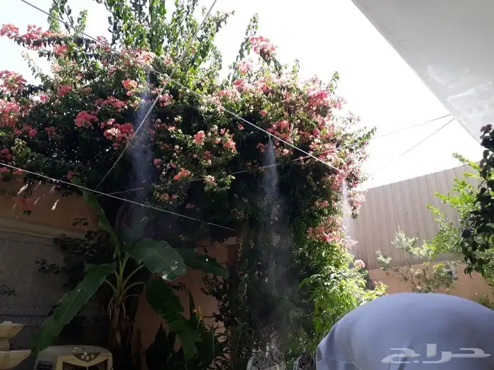 رذاذ ضباب 5