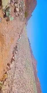 نقوم بتركيب الشبوك العديه ولوزريه بأنواعه وتوريد النخيل وبنا 4