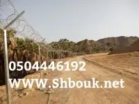 شبوك مزارع القصيم 9