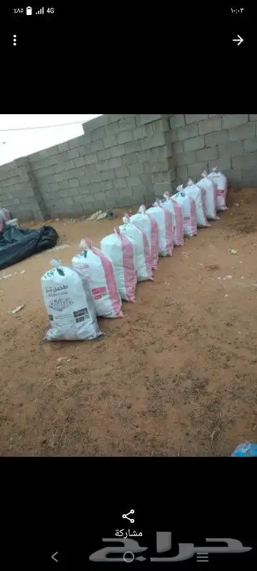 خبز ناشف للبيع 1