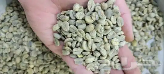 قهوه خولاني 0