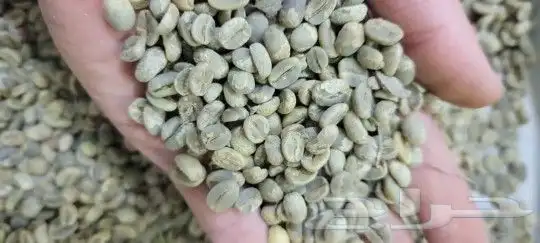 قهوه خولاني 3