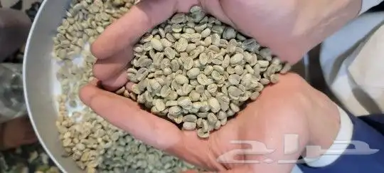 قهوه خولاني 1