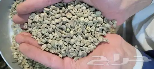 قهوه خولاني 2