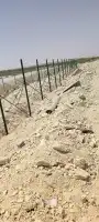 نقوم بتركيب الشبوك العديه ولوزريه بأنواعه وتوريد النخيل وبنا 0
