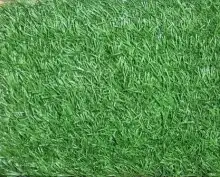 مستودع العشب فرع جدة جملة الجملة 6