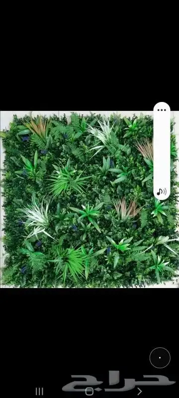 تنسيق حدائق خميس ابها 3