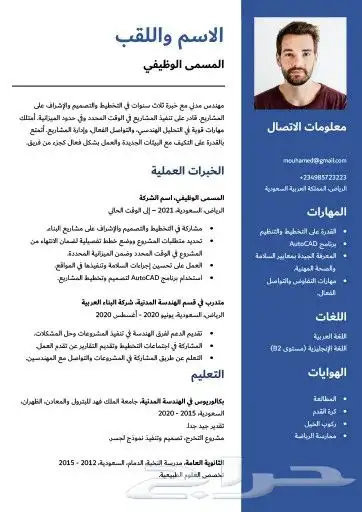 سيرة ذاتية احترافية 3