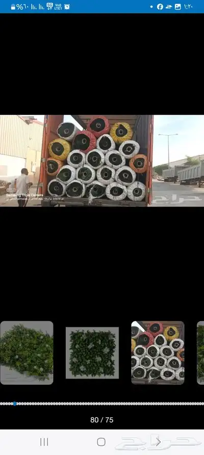 مستودع العشب فرع جدة جملة الجملة 19