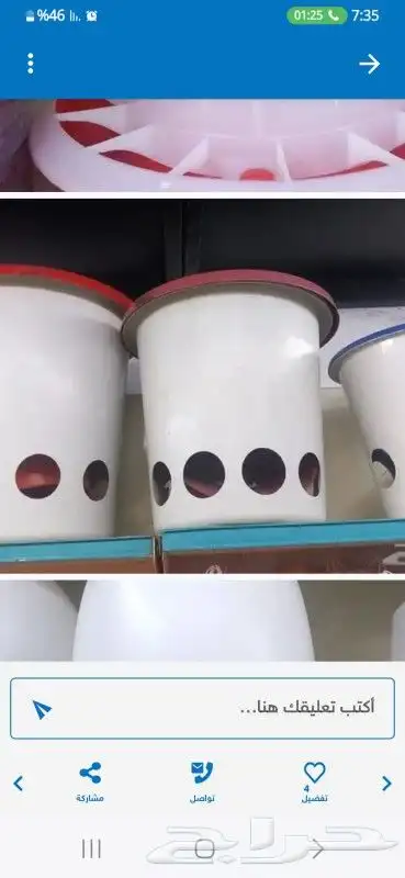 يوجد جميع اقل القطط والكلاب وطيور الكرون وببغاء وجميع مستلزم 11