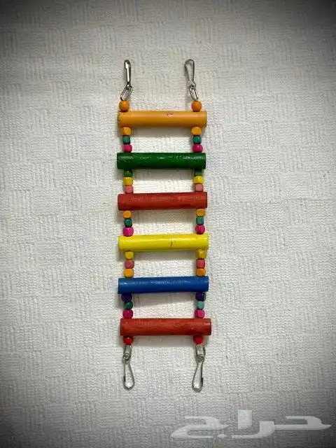 يوجد جميع اقل القطط والكلاب وطيور الكرون وببغاء وجميع مستلزم 4