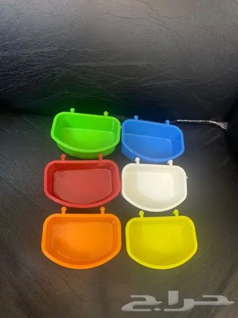 يوجد جميع اقل القطط والكلاب وطيور الكرون وببغاء وجميع مستلزم 0