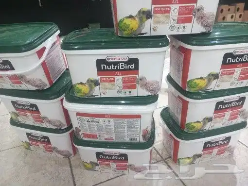 يوجد جميع اقل القطط والكلاب وطيور الكرون وببغاء وجميع مستلزم 7