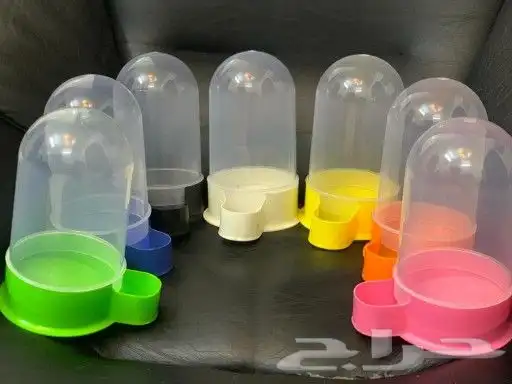 يوجد جميع اقل القطط والكلاب وطيور الكرون وببغاء وجميع مستلزم 1