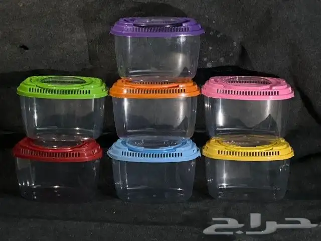 يوجد جميع اقل القطط والكلاب وطيور الكرون وببغاء وجميع مستلزم 6