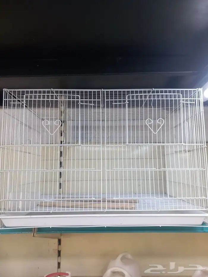 يوجد جميع اقل القطط والكلاب وطيور الكرون وببغاء وجميع مستلزم 9