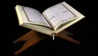 فلاش يو اس بي قران كريم باصوات 17 شيخ 1