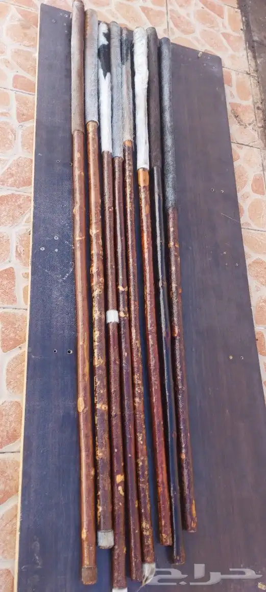 عصي لوز مسقيه ومجلبه وجاهزه 5