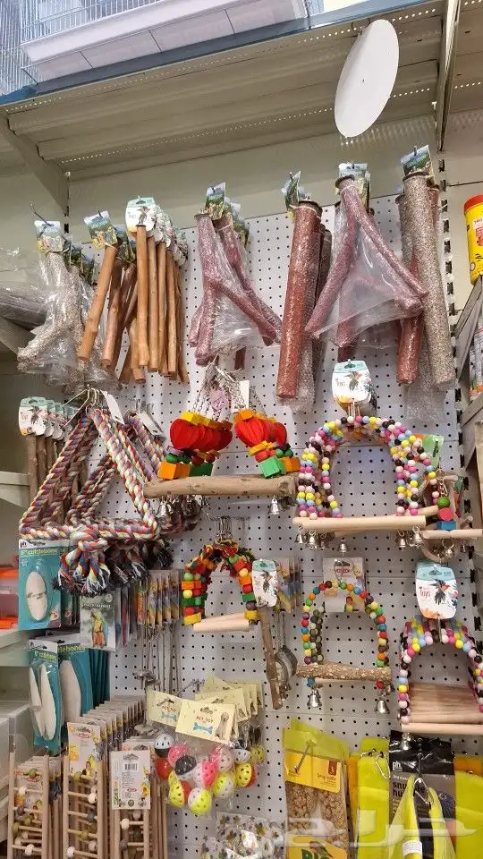 مجثم طيور مبرد طيور العاب طيور فاخره كاسكو مكاو قالا كوكاتو 3