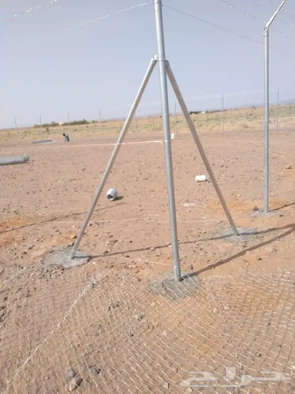 مقاول نخيل شبوك 8