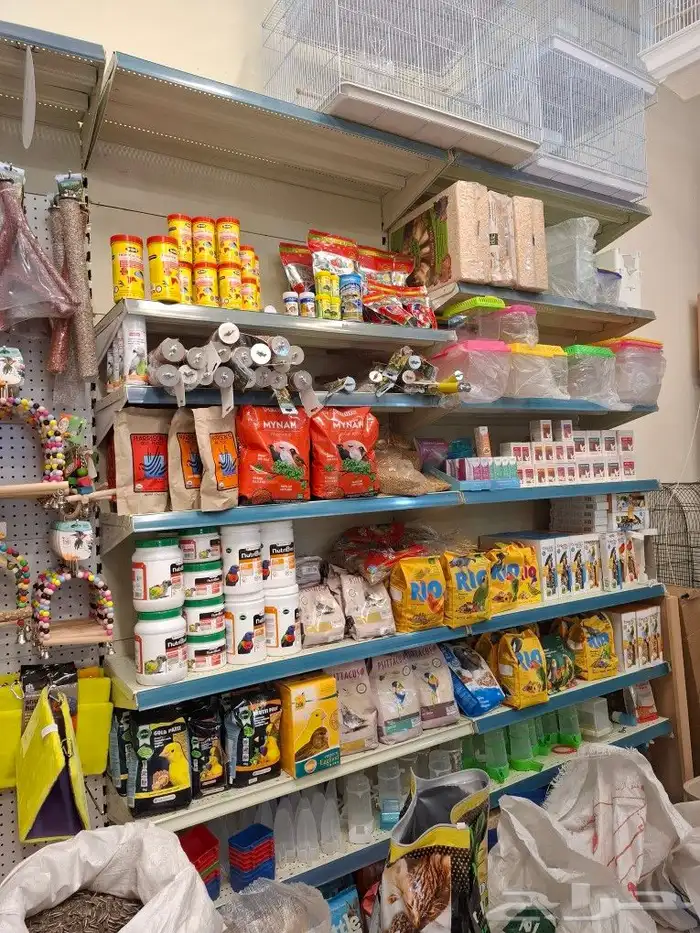 مجثم طيور مبرد طيور العاب طيور فاخره كاسكو مكاو قالا كوكاتو 1