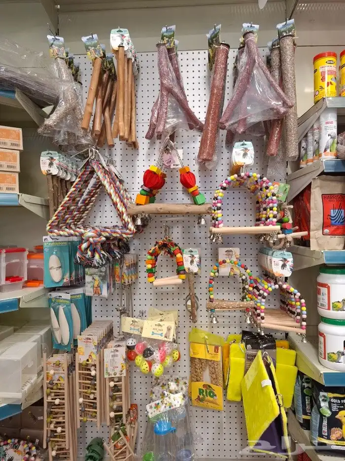 مجثم طيور مبرد طيور العاب طيور فاخره كاسكو مكاو قالا كوكاتو 0