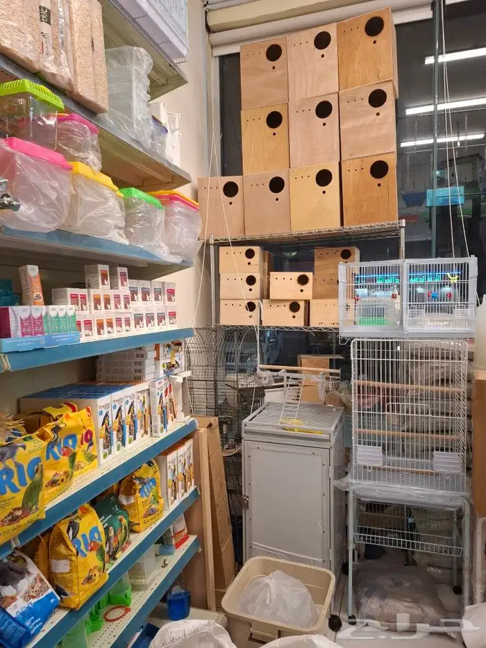 مجثم طيور مبرد طيور العاب طيور فاخره كاسكو مكاو قالا كوكاتو 2