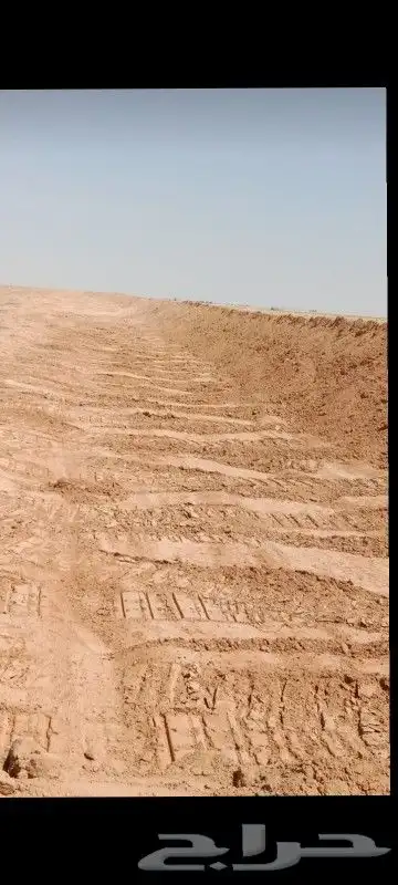 بلدوزرات للايجار تعقيم تسويه تجميع دفان 0