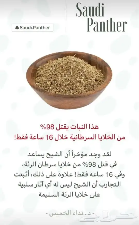تبوك شيح بري 1