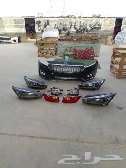 صدام كادينزا 2017 2018 2019 2020 0