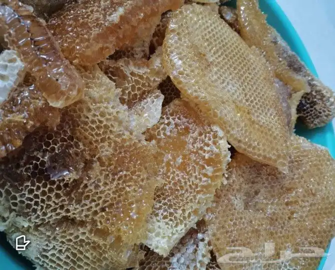 عسل سدر جنوبي جيزاني اصلي 1كيلو 1