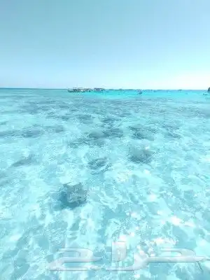 رحلات بياضه 2