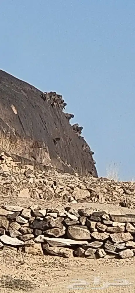 موقع للايجار اوللاستثمار 0