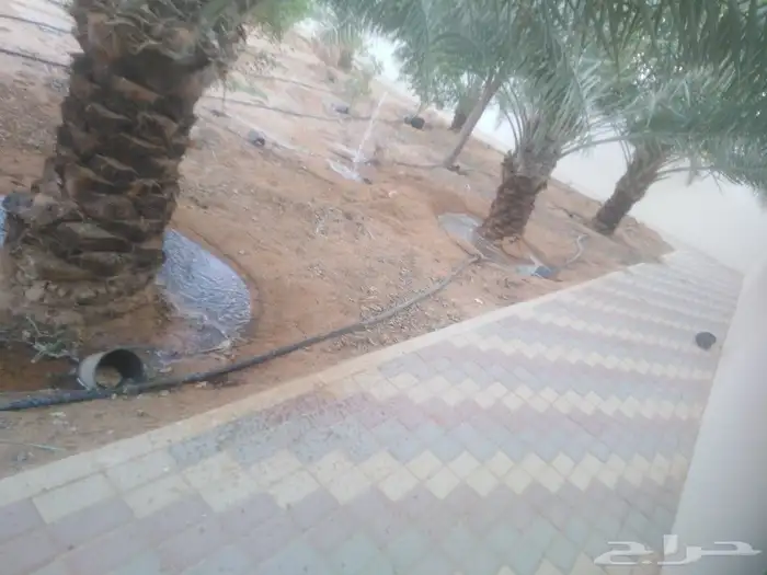 أبو أحمد لجميع أعمال النخيل 1