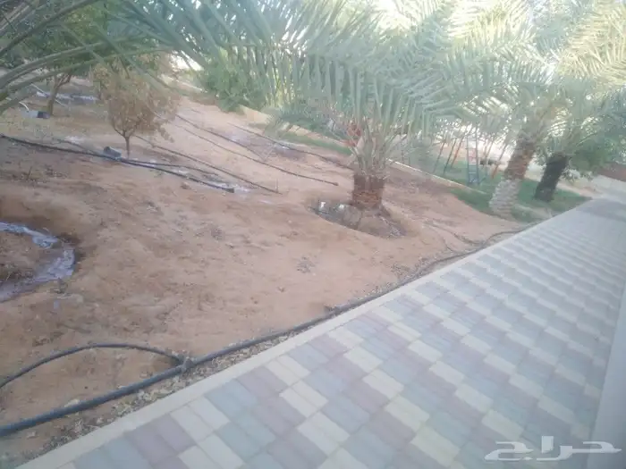أبو أحمد لجميع أعمال النخيل 2