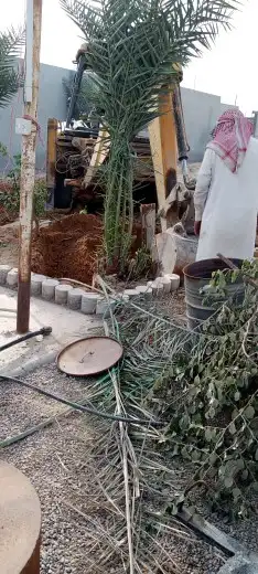 أبو أحمد لجميع أعمال النخيل 3