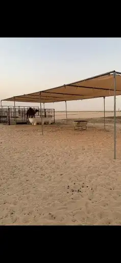 مضلات ابل 0