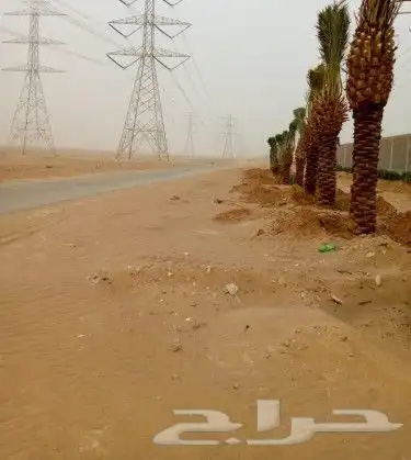 أبو أحمد لجميع أعمال النخيل 7