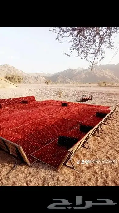 زهرة الجبلين للرحلات البرية كشتات قيلات طلعات 7