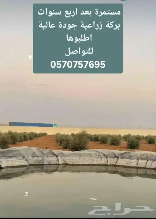 بلاستيك_احواض_وبرك_زراعية  بلاستك بيوت_محمية وليات زراعية 8