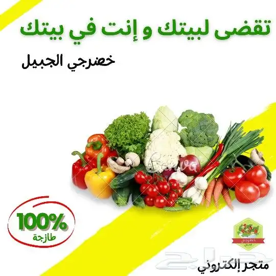 لوقو وبحوث واعلانات وسي في بالغتين 4