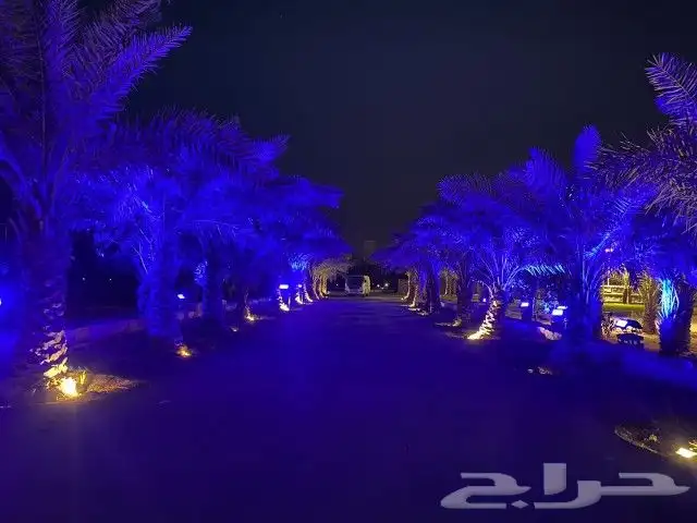 تأجير وتركيب اضاءات 4