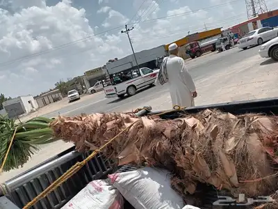 يوجد لدينا جميع انواع انخيل ج 8