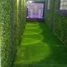 تنسيق حدائق 2