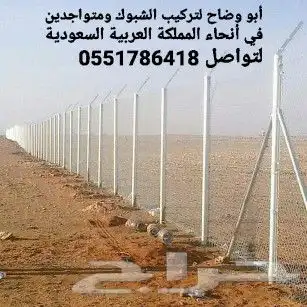 نخيل للبيع ومقاول شبوك 4