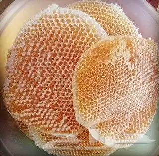 عسل سدر عسل سمرة عسل طلح مضمون على الشرط 15